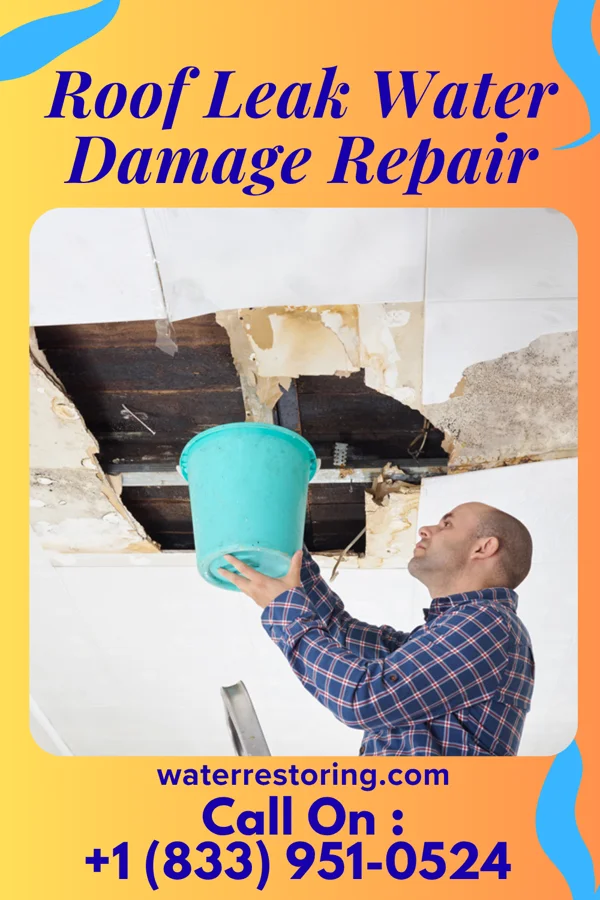 Roof Leak Water Damage Repair in West University Place, TX